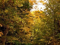 Fall '05 - 1